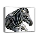 Zebra Deluxe Canvas 14  x 11  (Stretched)