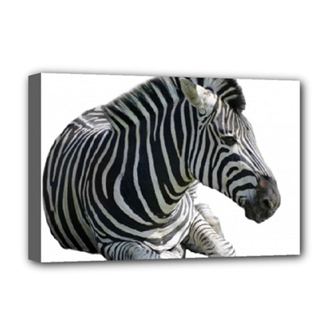 Zebra Deluxe Canvas 18  x 12  (Stretched) from ArtsNow.com