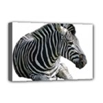 Zebra Deluxe Canvas 18  x 12  (Stretched)