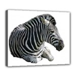 Zebra Deluxe Canvas 24  x 20  (Stretched)