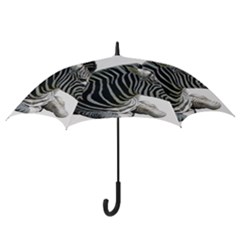 Hook Handle Umbrella (Medium) 