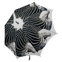 Hook Handle Umbrella (Large) 