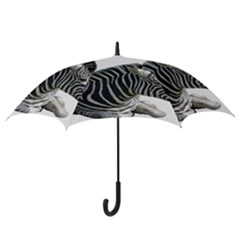 Hook Handle Umbrella (Large) 