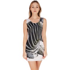 Bodycon Dress 