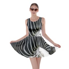 Skater Dress 
