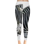 Zebra Leggings 