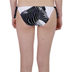 Bikini Bottoms 