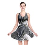 Zebra Reversible Skater Dress