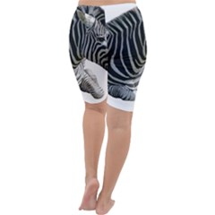 Cropped Leggings Back Cropped Leggings Back