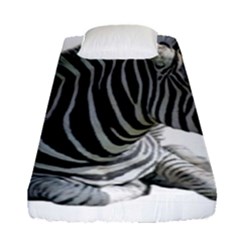 Fitted Sheet (Single Size) 