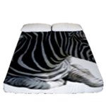 Zebra Fitted Sheet (Queen Size)