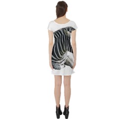 Short Sleeve Skater Dress Back Short Sleeve Skater Dress Back