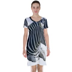 Short Sleeve Nightdress 