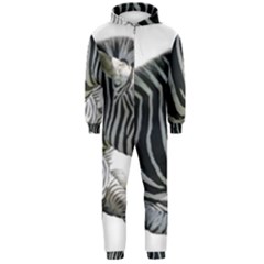 Hooded Jumpsuit (Men) 