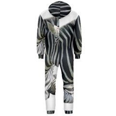Hooded Jumpsuit (Men) 