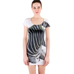Short Sleeve Bodycon Dress Front Short Sleeve Bodycon Dress Front