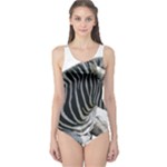 Zebra One Piece Swimsuit