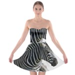 Zebra Strapless Bra Top Dress