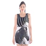 Zebra Scoop Neck Skater Dress