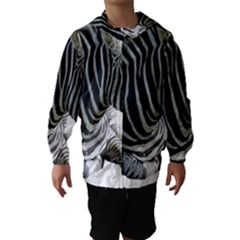 Kids  Hooded Windbreaker 