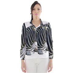 Women s Windbreaker 