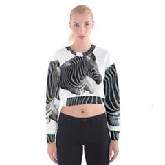 Cropped Sweatshirt 