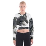 Zebra Cropped Sweatshirt