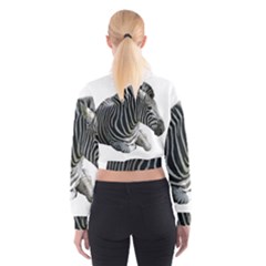 Cropped Sweatshirt 