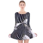 Zebra Long Sleeve Velvet Skater Dress