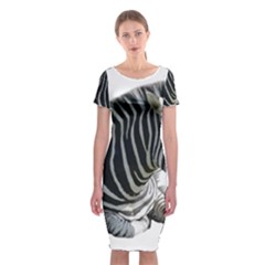 Classic Short Sleeve Midi Dress Front