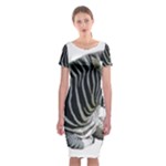 Zebra Classic Short Sleeve Midi Dress