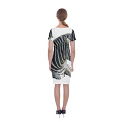 Classic Short Sleeve Midi Dress Back