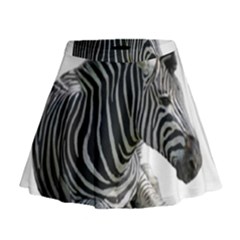 Mini Flare Skirt 