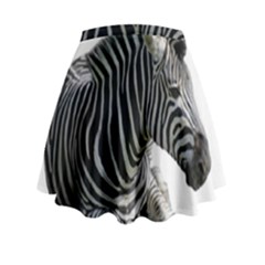Mini Flare Skirt 
