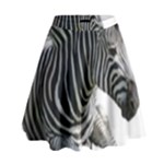 Zebra High Waist Skirt