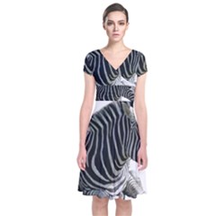 Short Sleeve Front Wrap Dress 