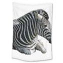Large Tapestry 