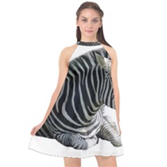 Halter Neckline Chiffon Dress  