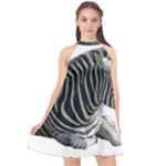 Zebra Halter Neckline Chiffon Dress 