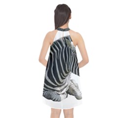 Halter Neckline Chiffon Dress  