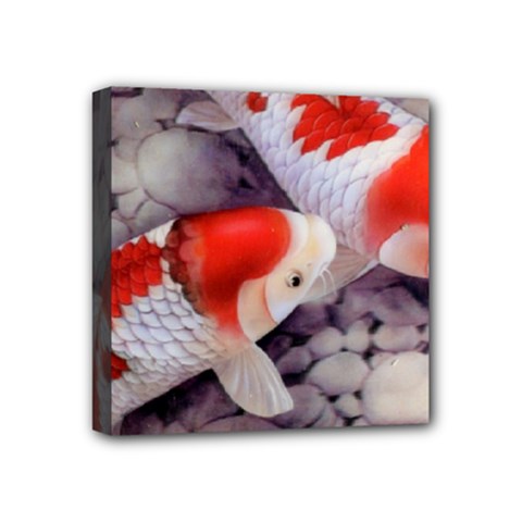 Koi Mini Canvas 4  x 4  (Stretched) from ArtsNow.com