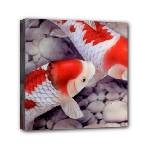 Koi Mini Canvas 6  x 6  (Stretched) from ArtsNow.com