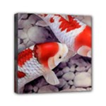 Koi Mini Canvas 6  x 6  (Stretched)