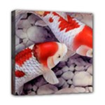 Koi Mini Canvas 8  x 8  (Stretched)