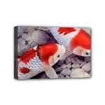 Koi Mini Canvas 6  x 4  (Stretched)