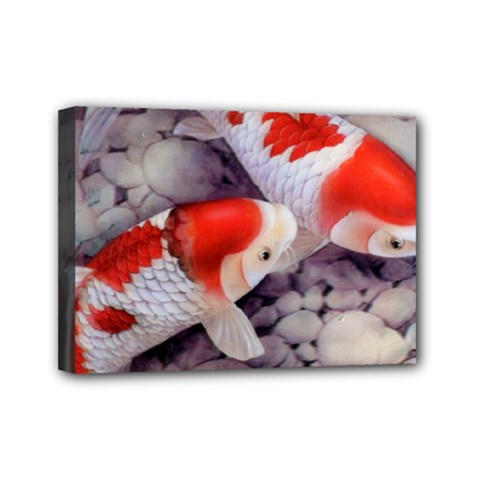 Koi Mini Canvas 7  x 5  (Stretched) from ArtsNow.com