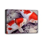 Koi Mini Canvas 7  x 5  (Stretched)