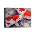 Mini Canvas 7  x 5  (Stretched) 