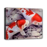 Koi Canvas 10  x 8  (Stretched)