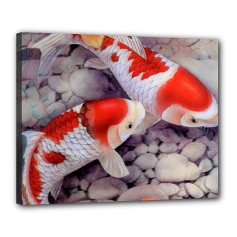 Koi Canvas 20  x 16  (Stretched) from ArtsNow.com